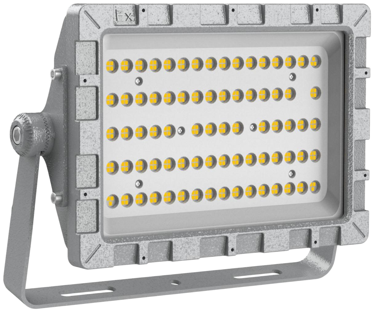Ex LED Flood Light