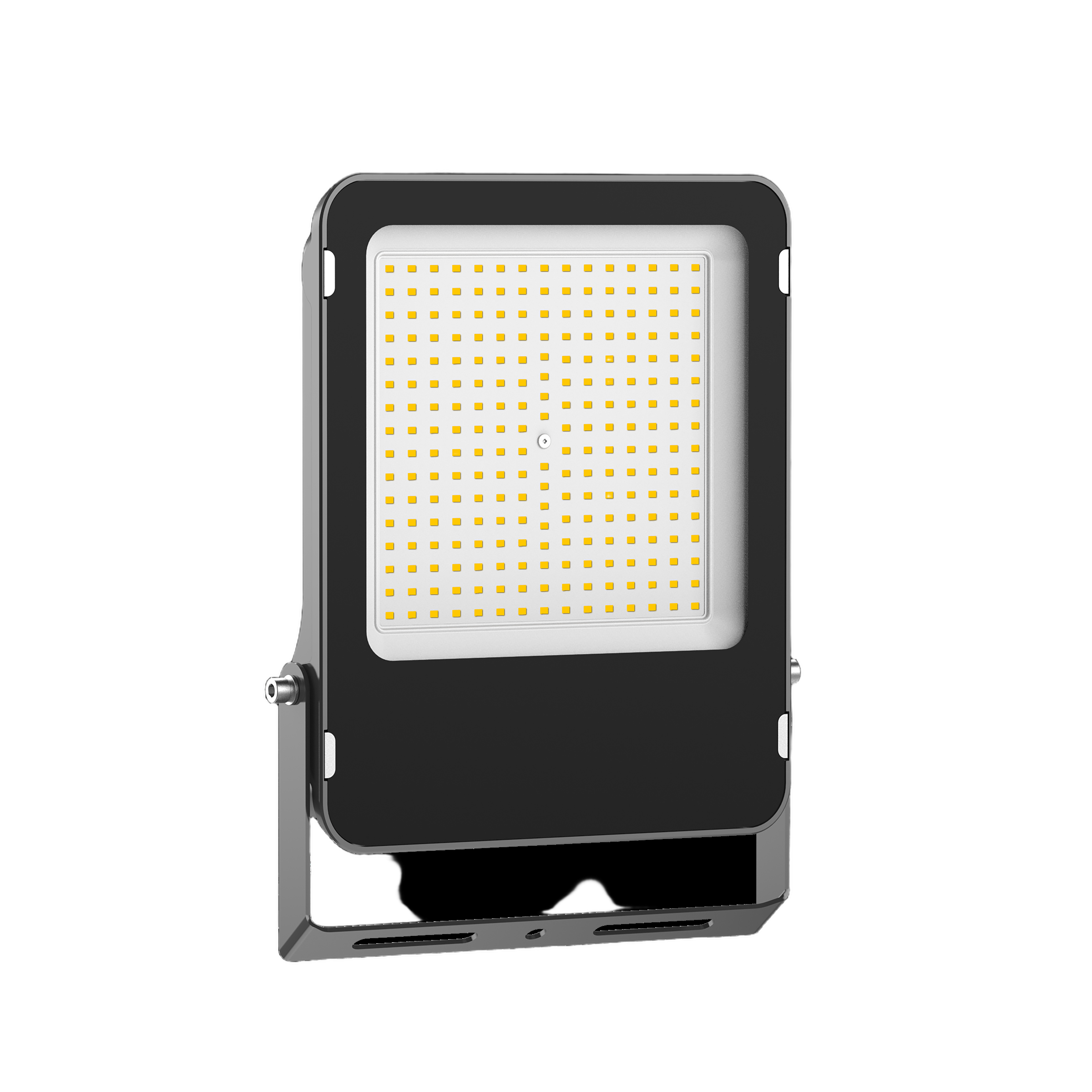PAX LED Flood Light